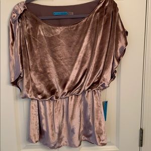NEW Alice+ Olivia brown velvet top